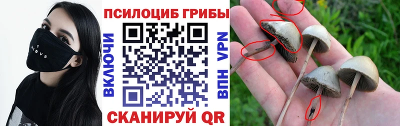 Галлюциногенные грибы мухоморы Барнаул