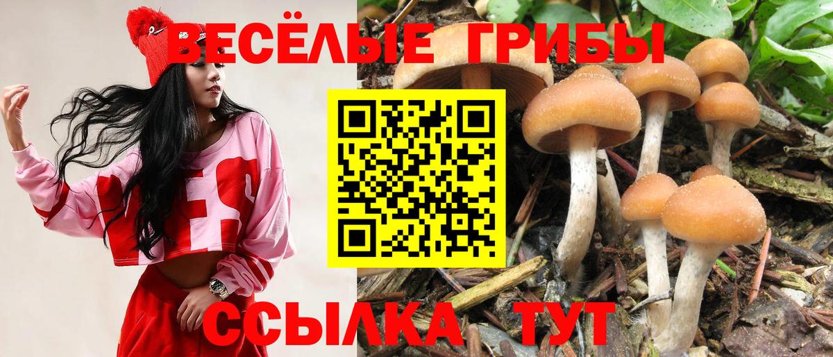 Барнаул  Галлюциногенные грибы GOLDEN TEACHER  Вход с VPN 