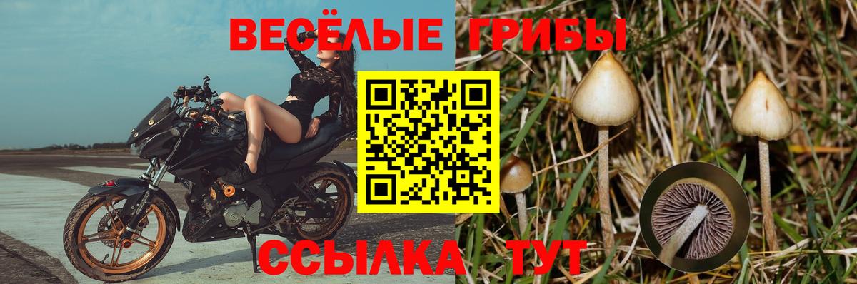 Марихуана  Марихуана  Вход с VPN  Меф кристаллы  Купить закладку  Барнаул  ГАШ 